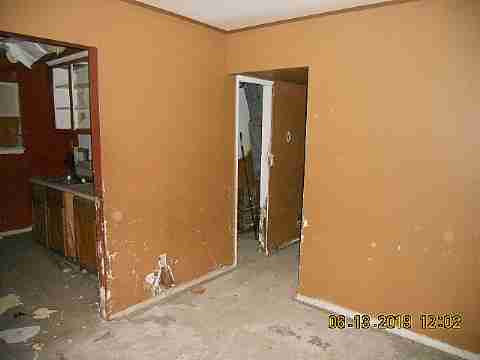 15017 Dolphin (7)_m.jpg